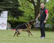 olimpiada-malucha212