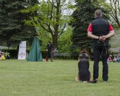 olimpiada-malucha213