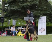 olimpiada-malucha216