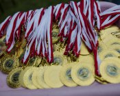 olimpiada-malucha225