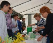 dozynki_piotrowice16