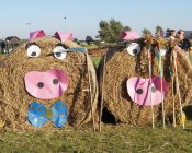 dozynki-mecinka_2016-32