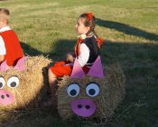 dozynki-mecinka_2016-33