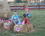 dozynki-mecinka_2016-67