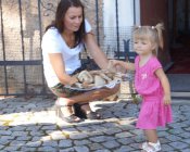 dozynki-sichow_2016-02