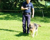 Wakacyjne Święto Dzieci w Pomocnem