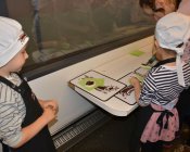 czekoladowe_warsztaty135