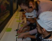 czekoladowe_warsztaty136