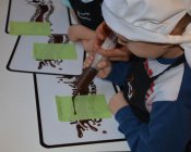 czekoladowe_warsztaty53