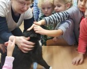 pomoc_zwierzeta-0004