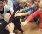 pomoc_zwierzeta-0007