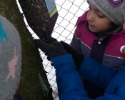 Śnieg zasypał pola