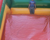 swieto_tulipanowca05