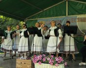 swieto_tulipanowca101