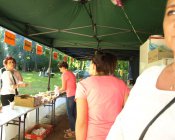 swieto_tulipanowca106