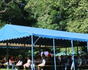 swieto_tulipanowca22