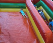 swieto_tulipanowca45