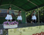 swieto_tulipanowca51