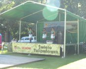 swieto_tulipanowca52