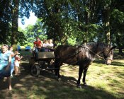 swieto_tulipanowca62