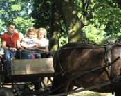 swieto_tulipanowca63