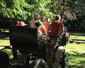 swieto_tulipanowca64