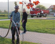 150 posadzonych drzew – współpraca Gminy Męcinka i KSS Bartnica 