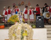 dozynki2017-kondratow-0044