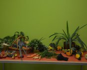 zajecia-przedszkole-0047