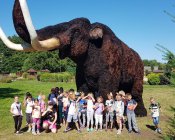 wakacje-piotrowice011