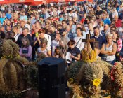 dozynki_maklowicz028