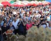 dozynki_maklowicz144