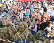 dozynki_maklowicz165