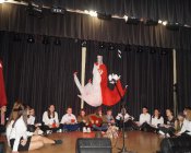 swieto-niepodleglosci206