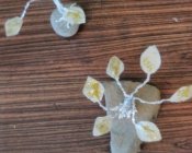 zajecia-wakacyjne005