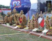 msza_i_wreczanie_chlebow102