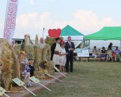 msza_i_wreczanie_chlebow178