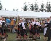 polonez_i_belgijka152