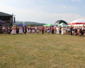 polonez_i_belgijka168