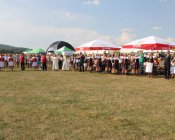 polonez_i_belgijka169