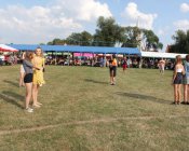 polonez_i_belgijka213