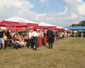 polonez_i_belgijka242