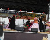 polonez_i_belgijka302