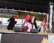 polonez_i_belgijka304