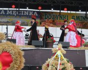 polonez_i_belgijka312