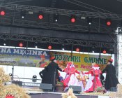 polonez_i_belgijka316