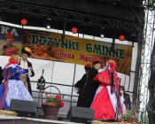 polonez_i_belgijka322