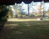 porzadki-cmentarze_006