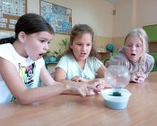 wakacyjne-zajecia009