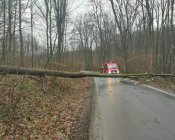 Silny wiatr, powalone drzewa i ciężka praca naszych strażaków 